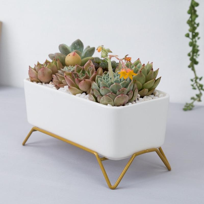 Succulent Plant Pot