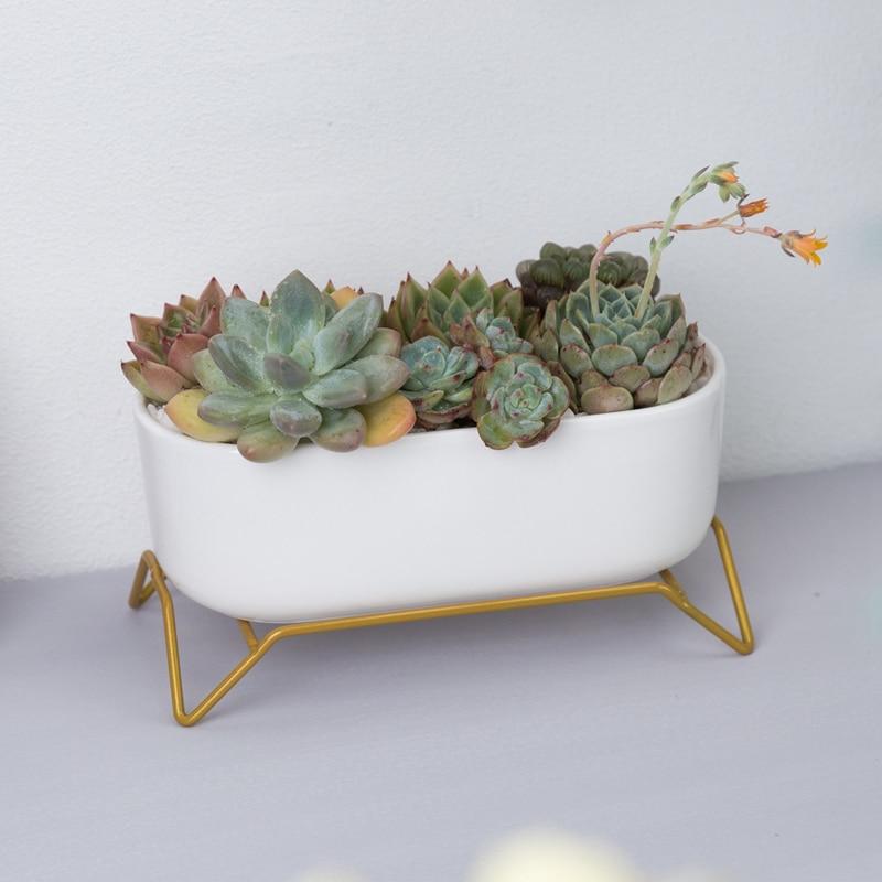 Succulent Plant Pot