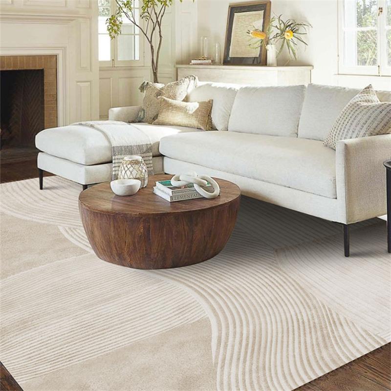 Home Luxury Soft Rug