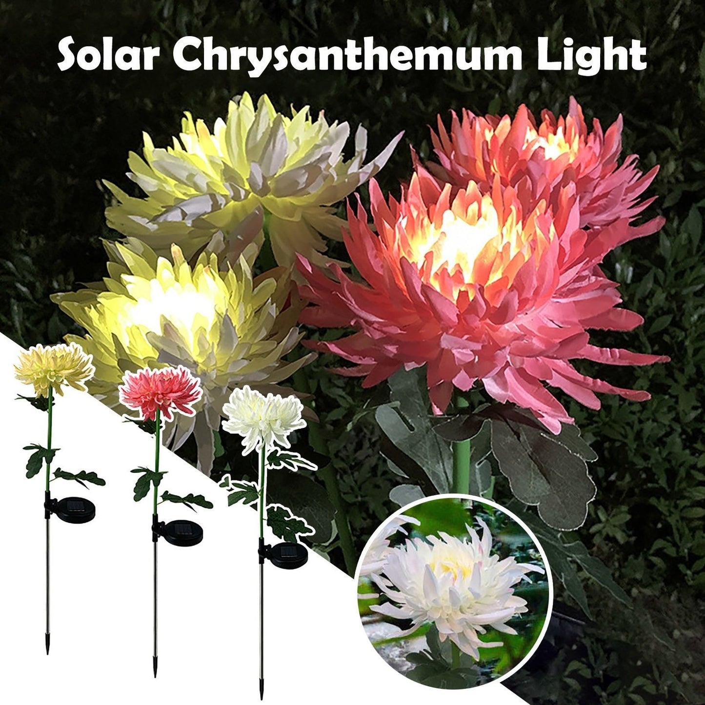 Solar Chrysanthemum Light