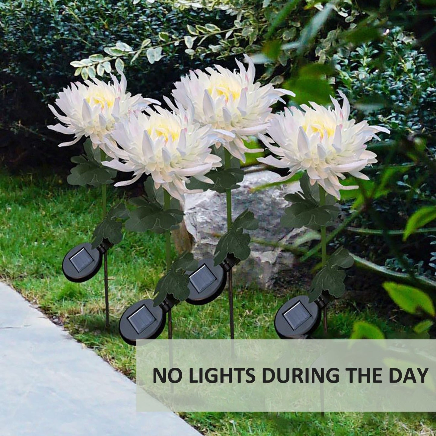 Solar Chrysanthemum Light