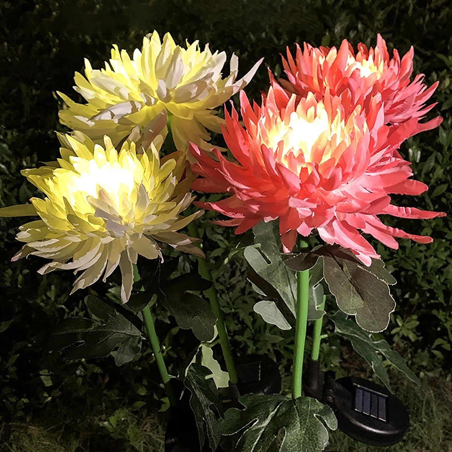 Solar Chrysanthemum Light