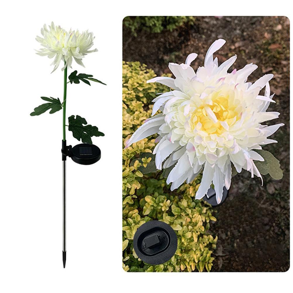 Solar Chrysanthemum Light