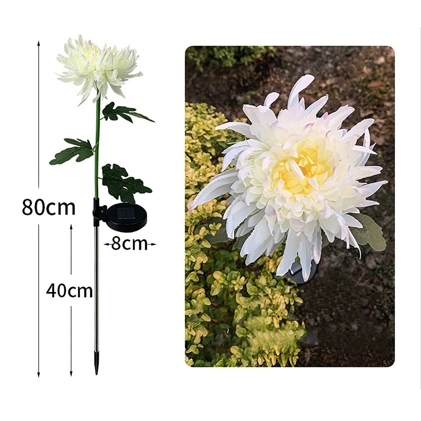 Solar Chrysanthemum Light