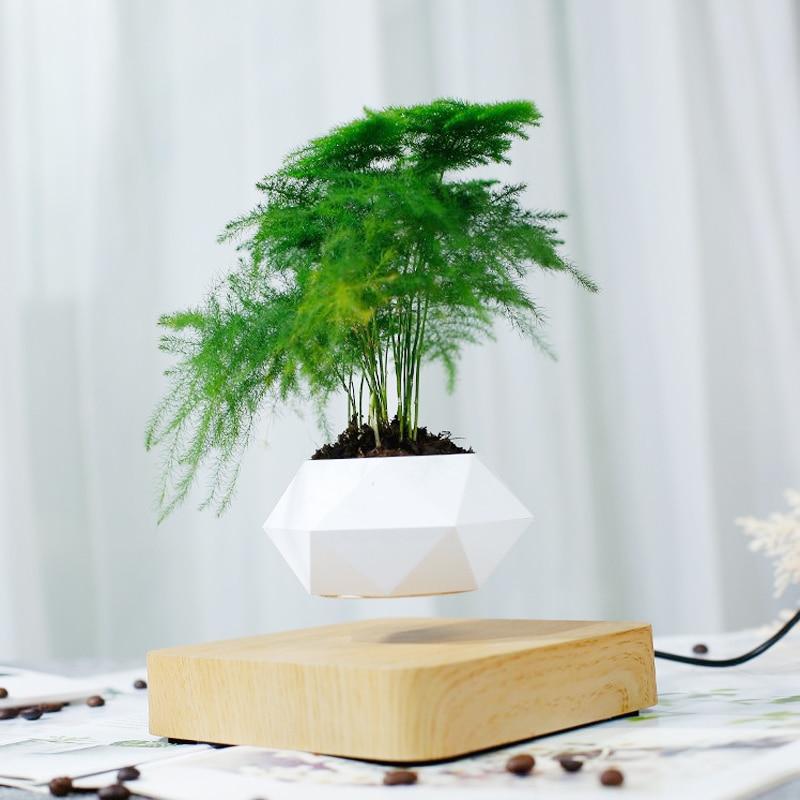 Levitating Bonsai Pot