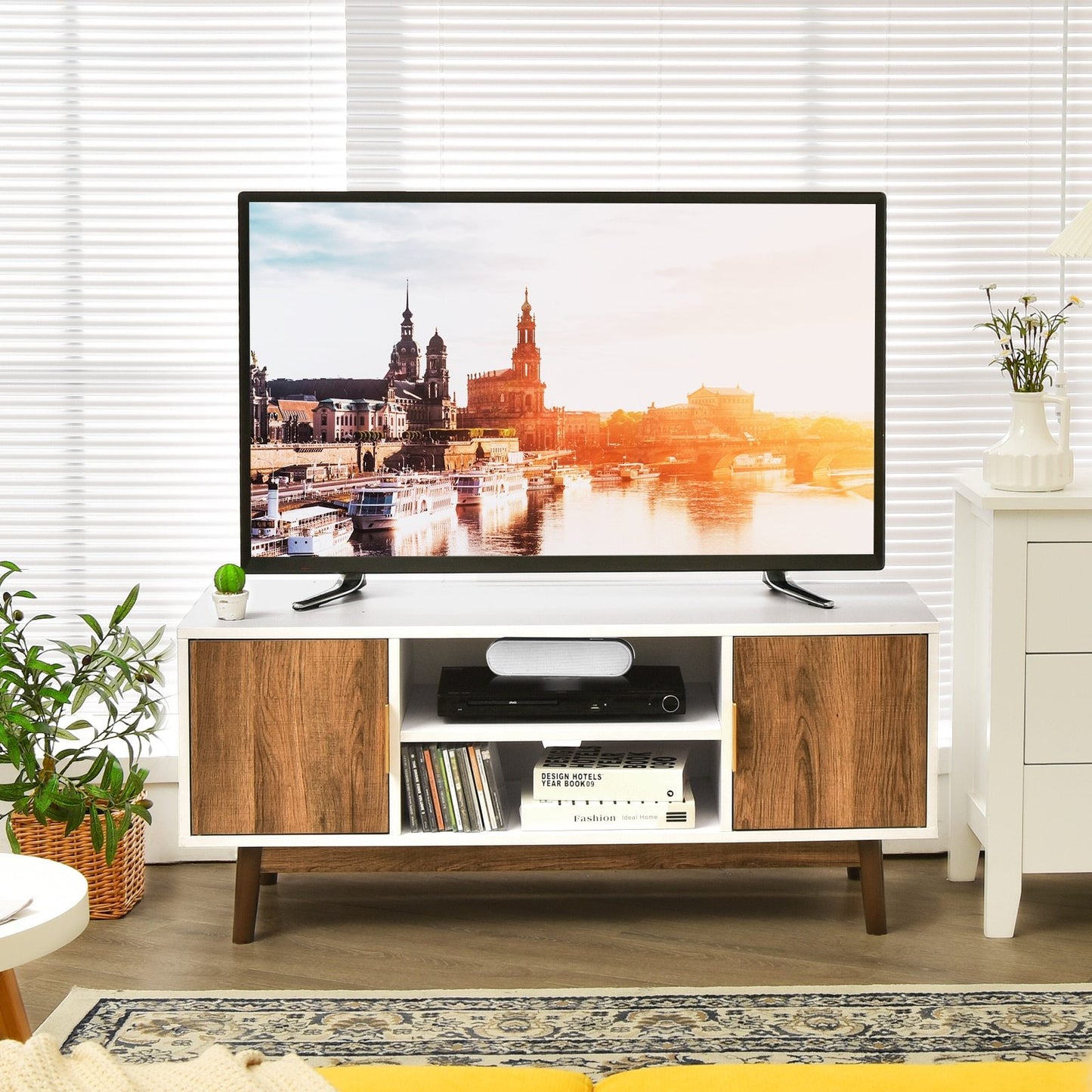 Modern TV Stand