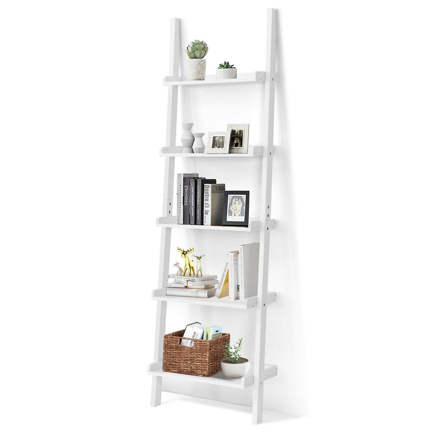 Ladder Shelf