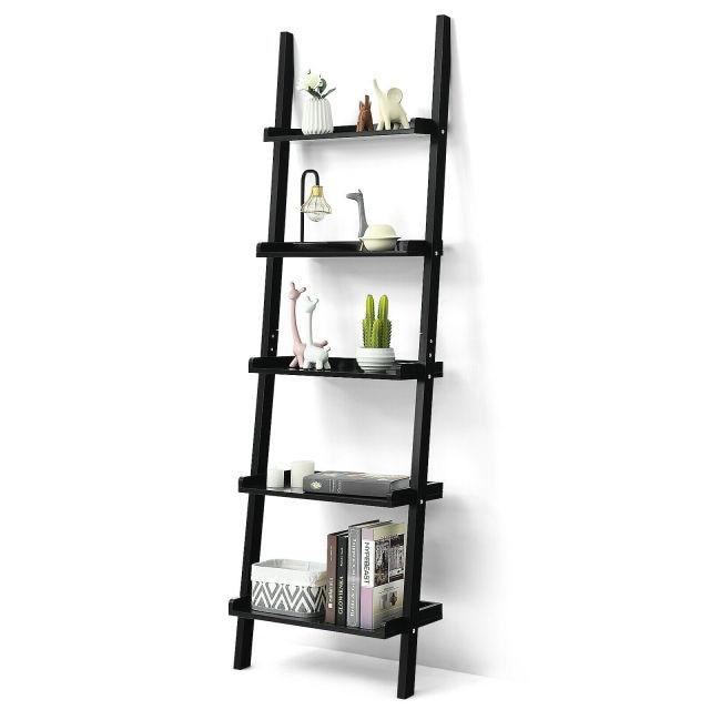 Ladder Shelf