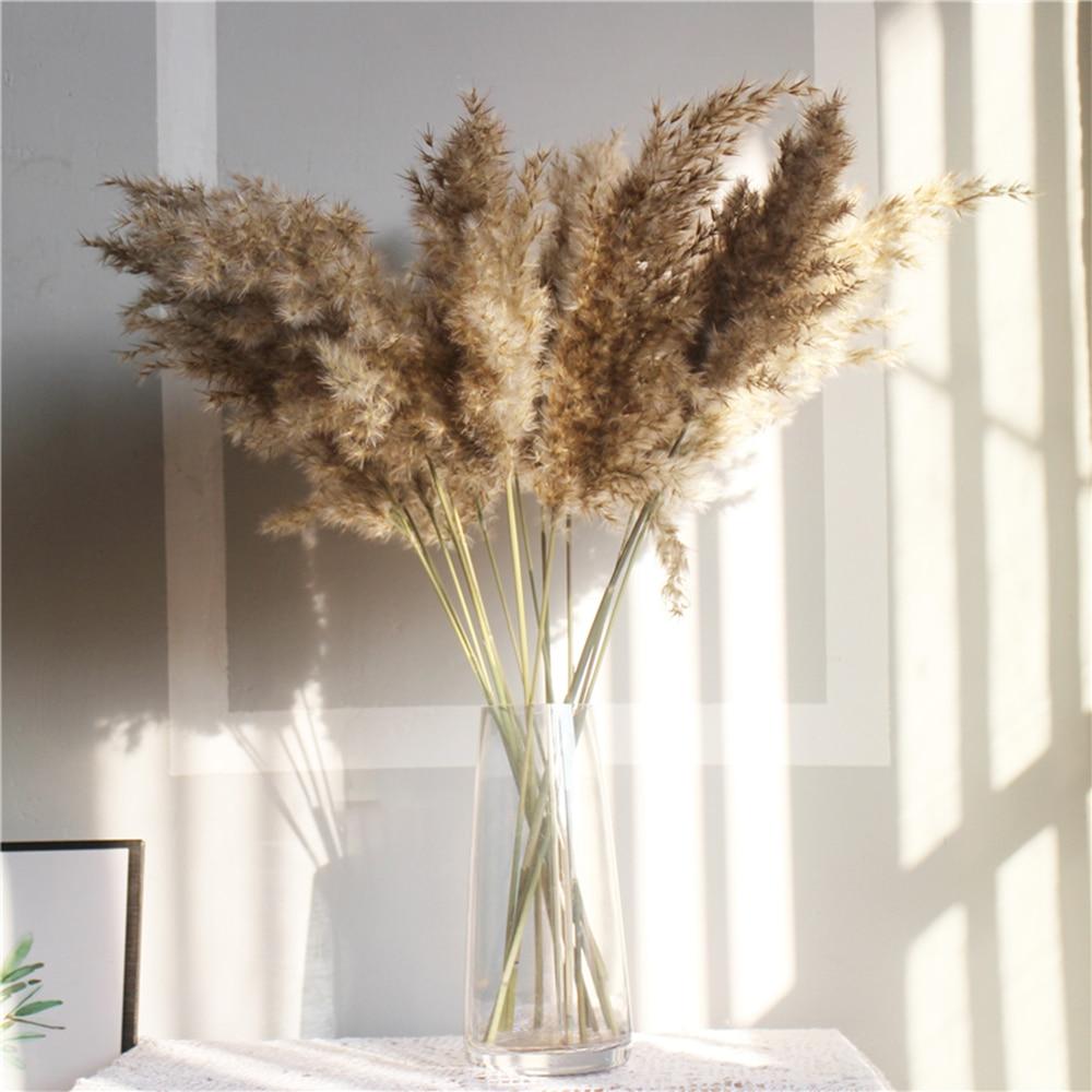 Dried Pampas Décor